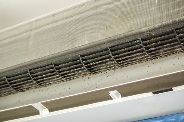 Best Air Duct Cleaning Near Me  in Clayton, AL