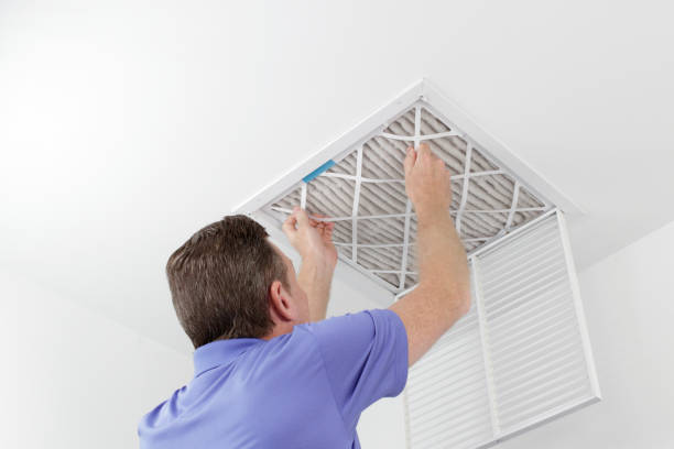 Best Local Air Duct Cleaning Services  in Clayton, AL